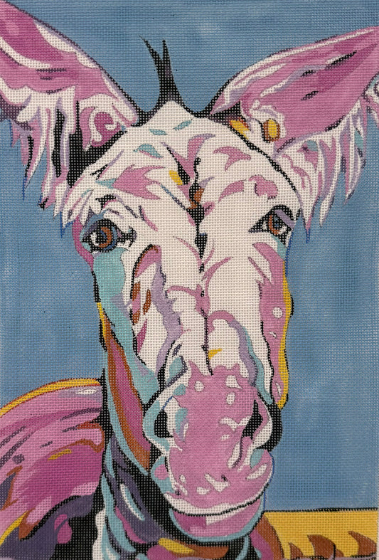 Colorful Donkey on Blue Background