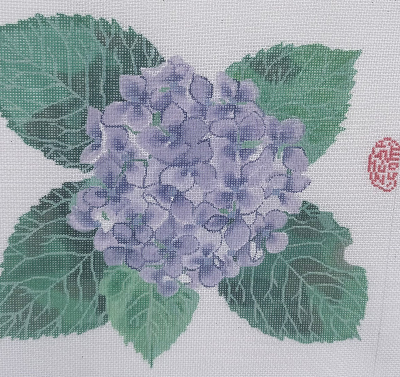 Purple Hydrangea