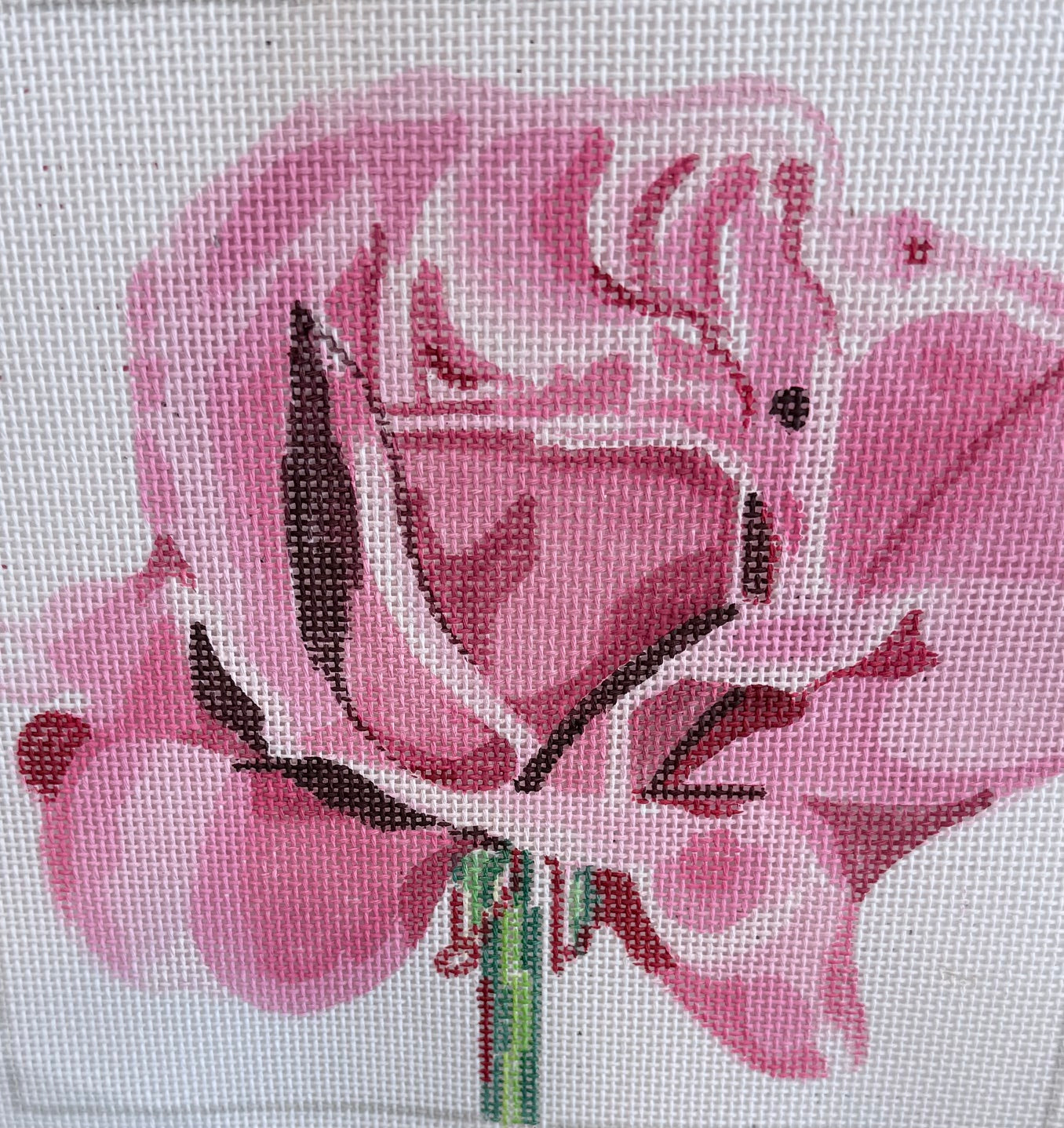 Pink Rose