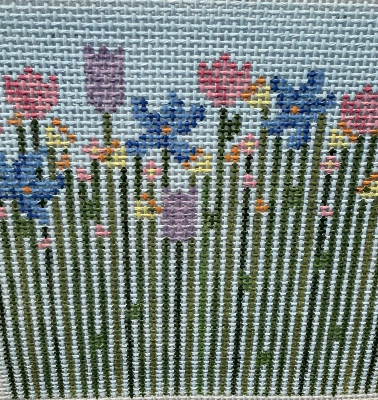 Multicolored Flowers with Long Stems