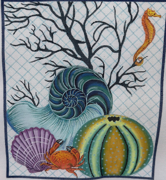Bright Colored Sea Shells with Coral