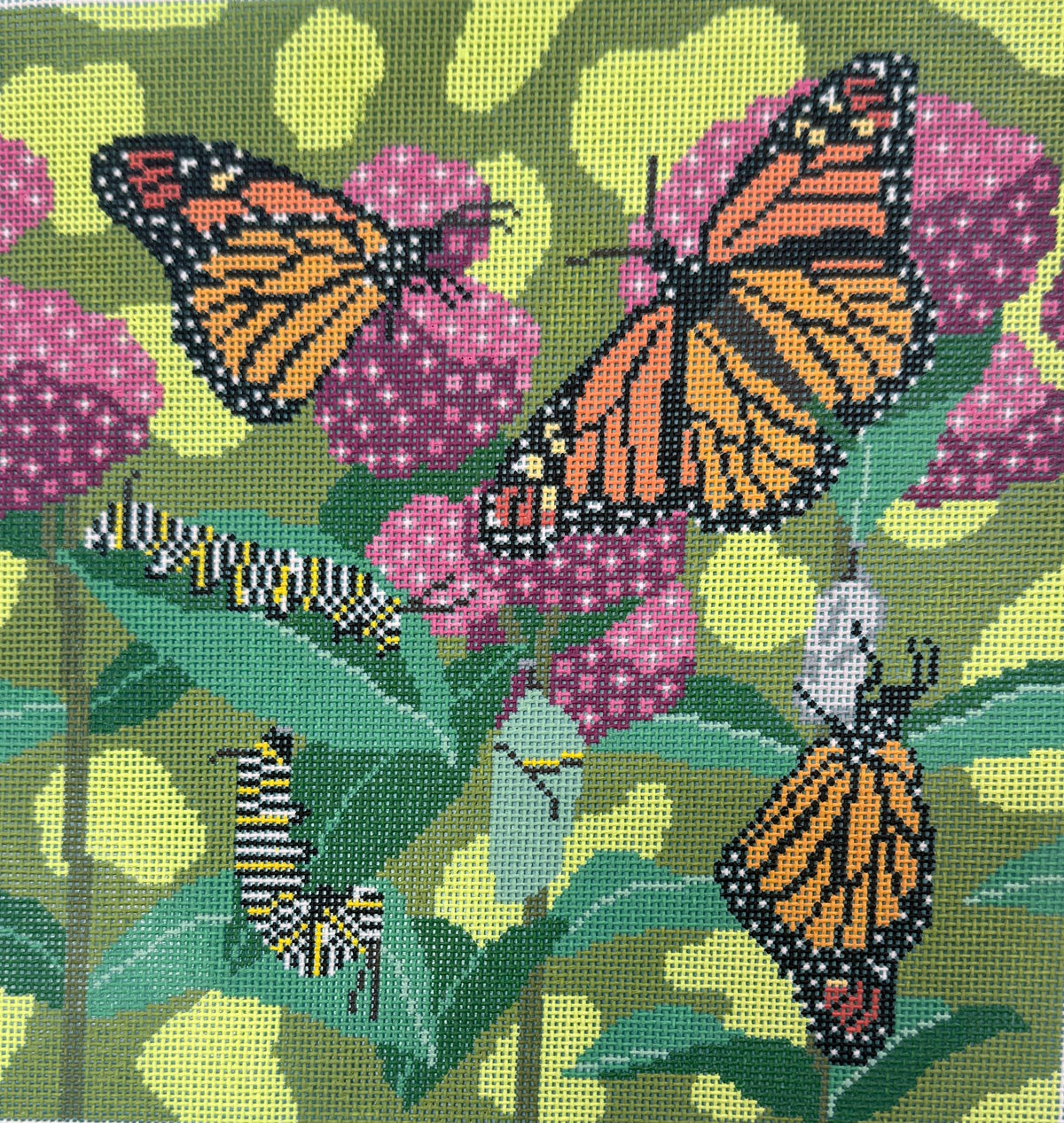 Monarch Butterflies and Caterpillars on Milkweed