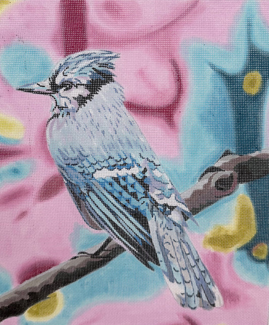 Bluejay on Branch on Pastel Background