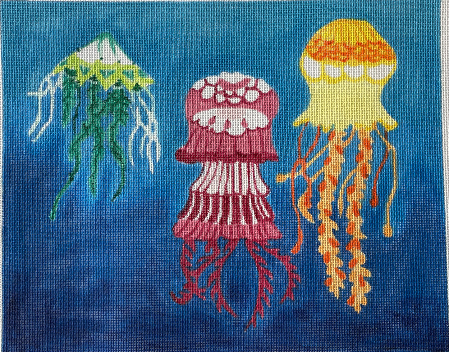 Jellyfish