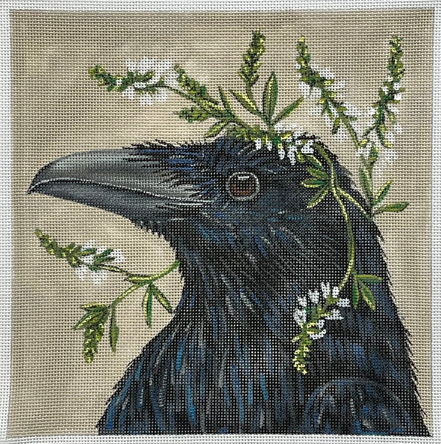 Beautiful Crow