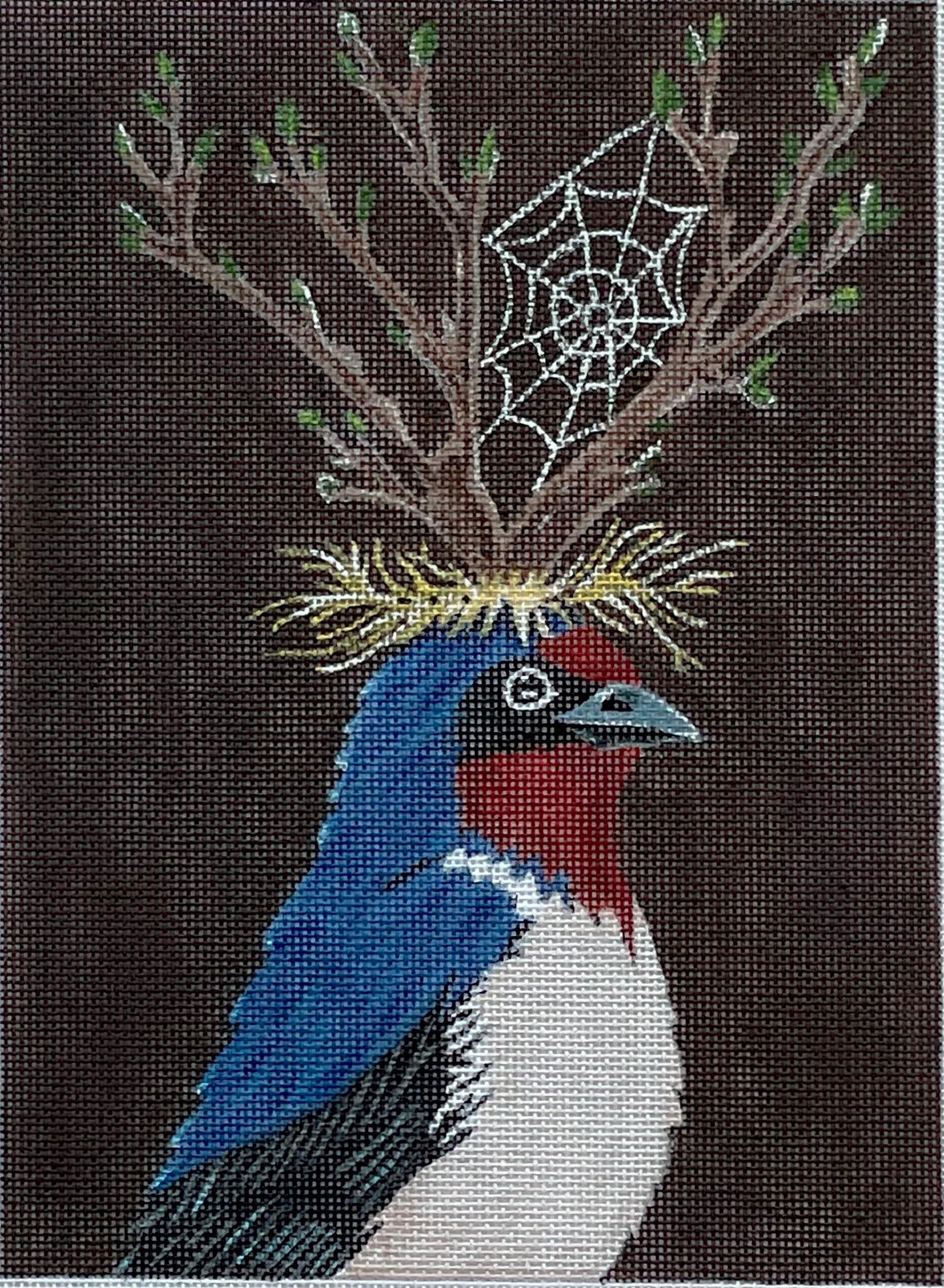 Crowned Blue Bird