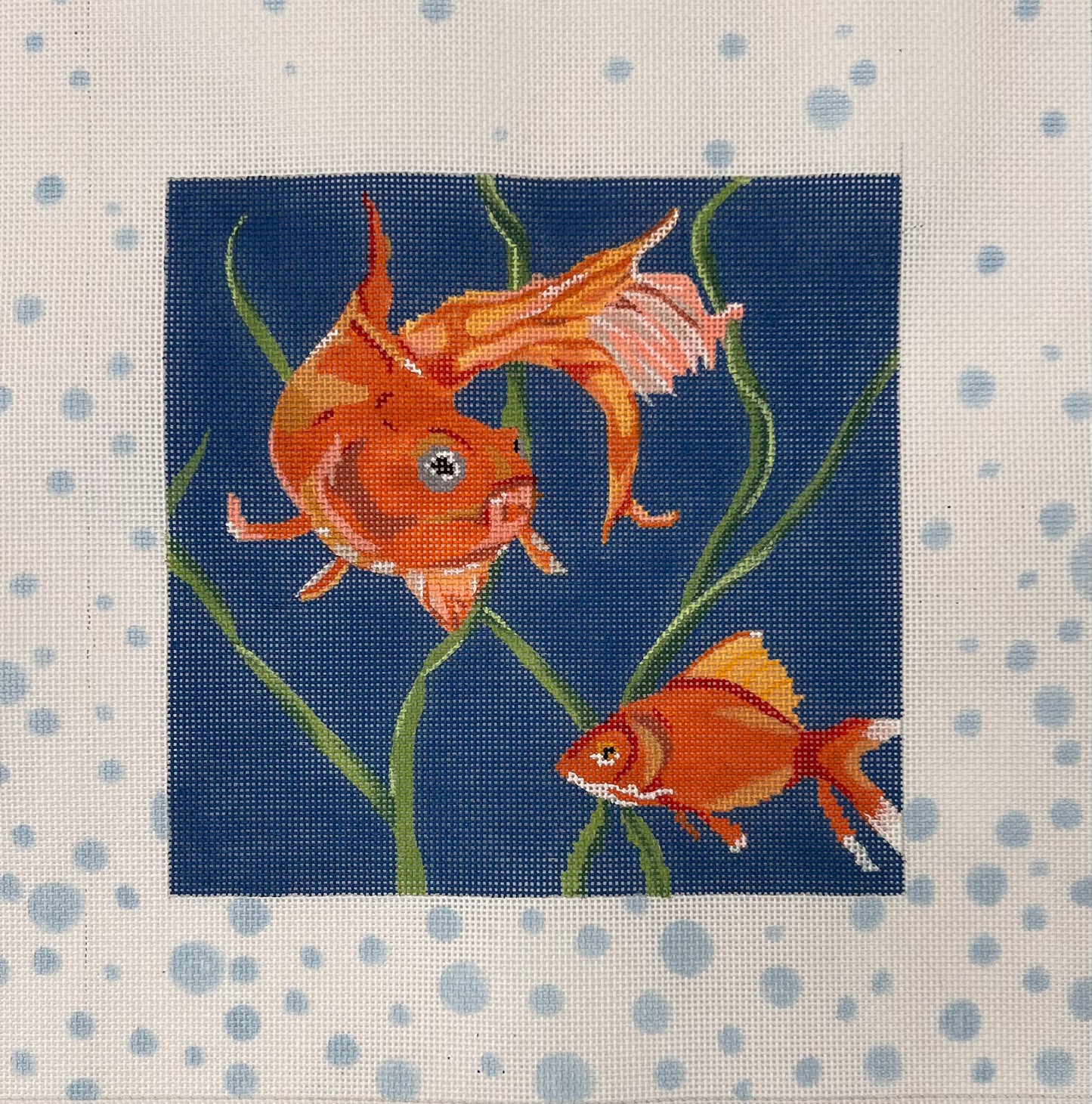 Two Orange Fish