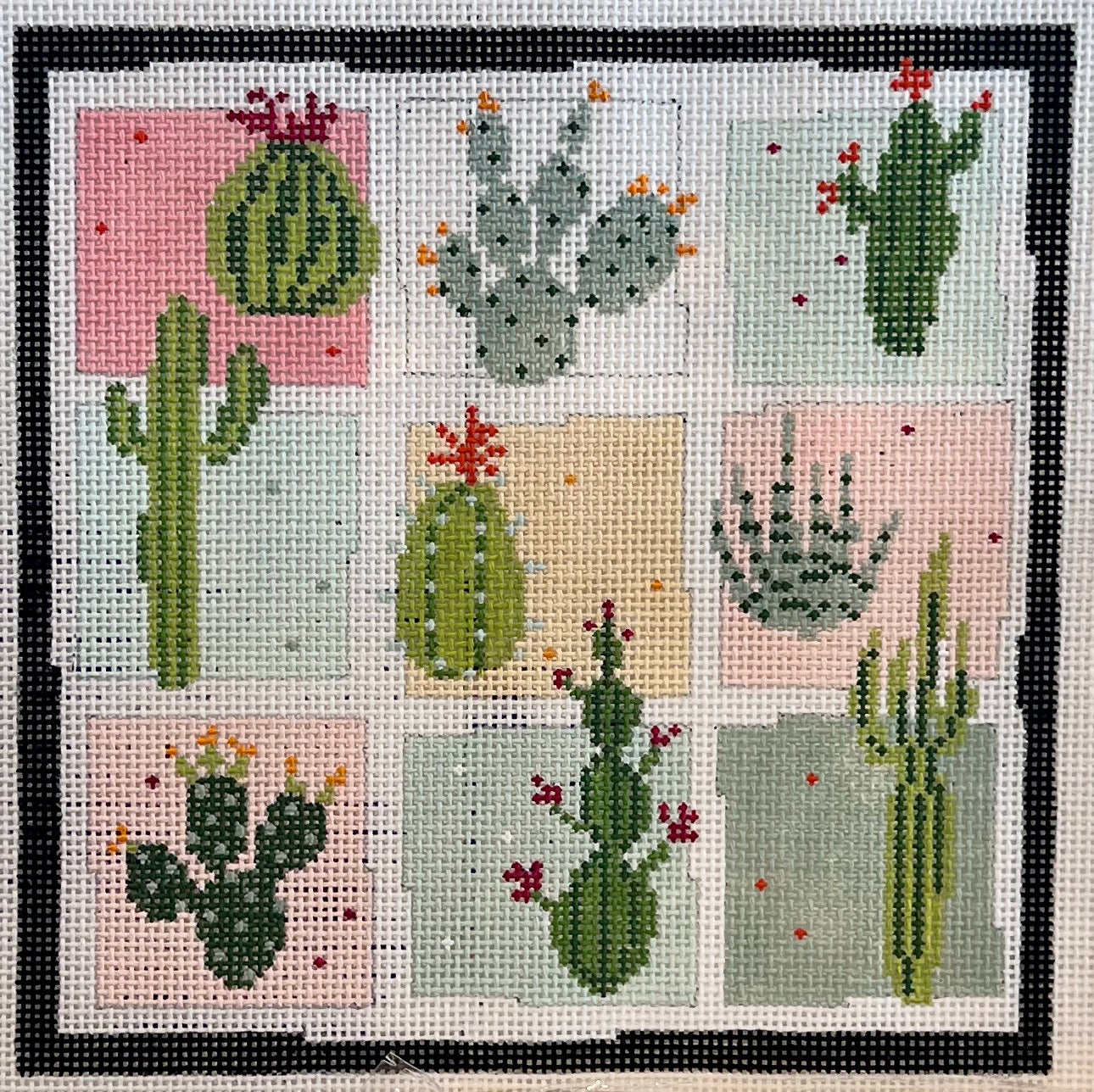 Cactus Squares