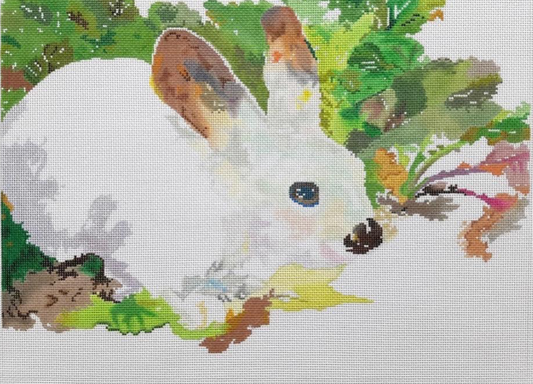 Bunny in Lettuce